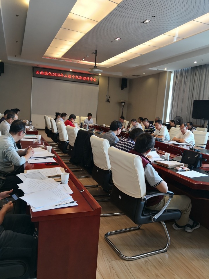 云南南宫ng28集团中评委会召开