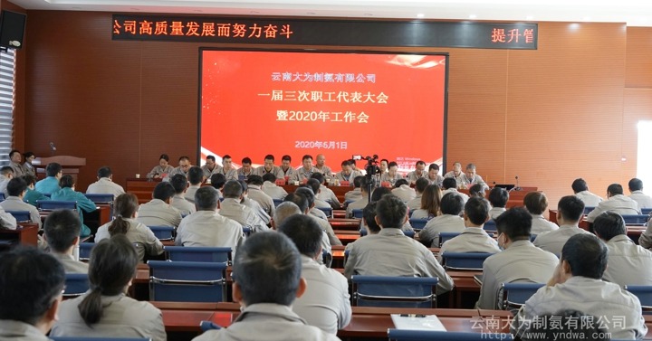 大为制氨公司召开一届三次职代会暨2020年岁情会