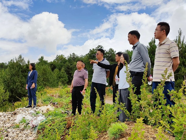 【主题教育】云煤（南宫ng28）集团专职外部董事寸延峰，，，集团党委委员、财务总监莫晓丹到马厂煤矿、汉家厂煤矿、竹麻地煤矿开展主题教育调研