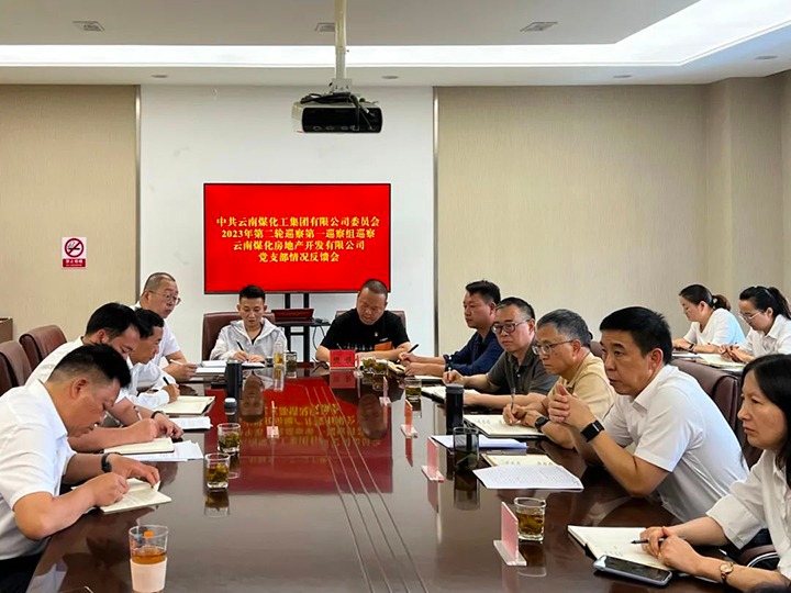【聚焦云煤】云煤（南宫ng28）集团党委2023年第二轮巡察第一巡察组向云南南宫ng28房地产开发有限公司反响巡察情形