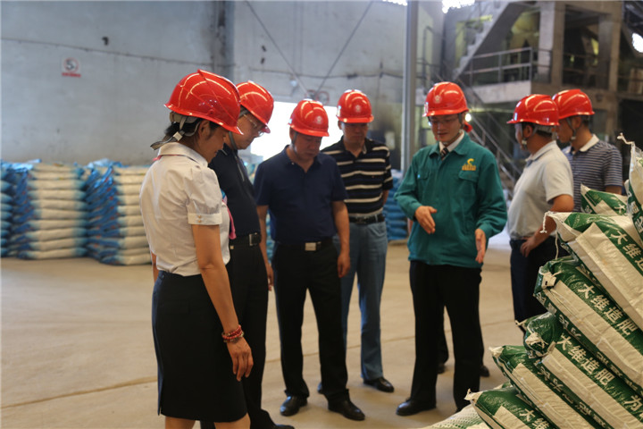 南宫NG28官网(中国)相信品牌的实力网址